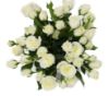 Picture of White Roses