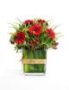 Picture of Red Gerbera