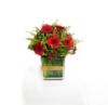 Picture of Red Gerbera