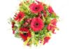 Picture of Red Gerbera