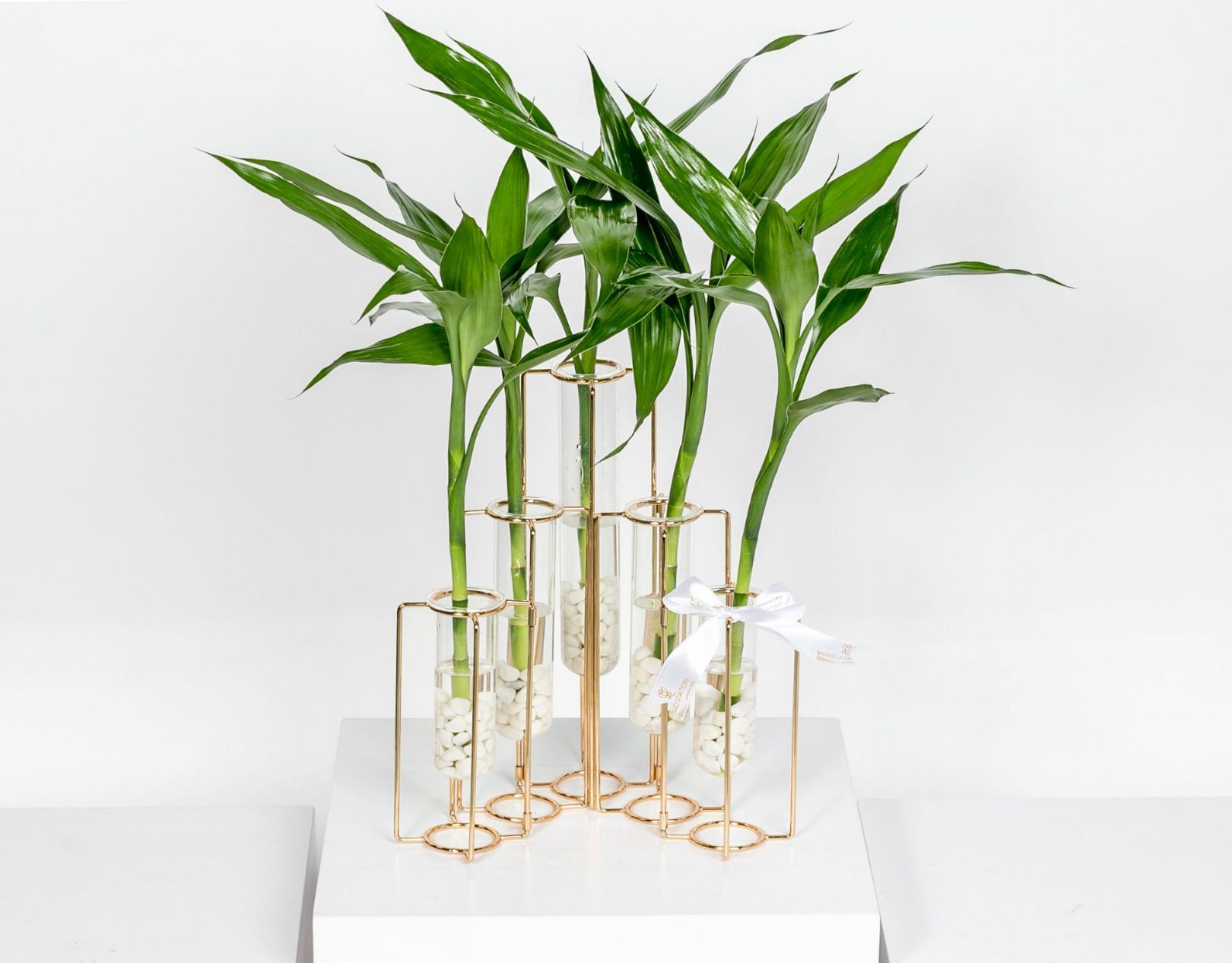 Picture of Bamboo Plant Stand 