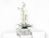 Picture of Artificial White Orchid Pot