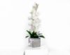 Picture of Artificial White Orchid Pot