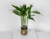 Picture of 5 Bamboo Branches Vase