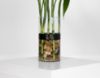 Picture of 5 Bamboo Branches Vase