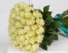 Picture of 50 White Rose Bouquet