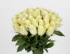 Picture of 50 White Rose Bouquet