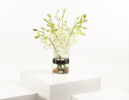 Picture of White Baby Orchid Vase