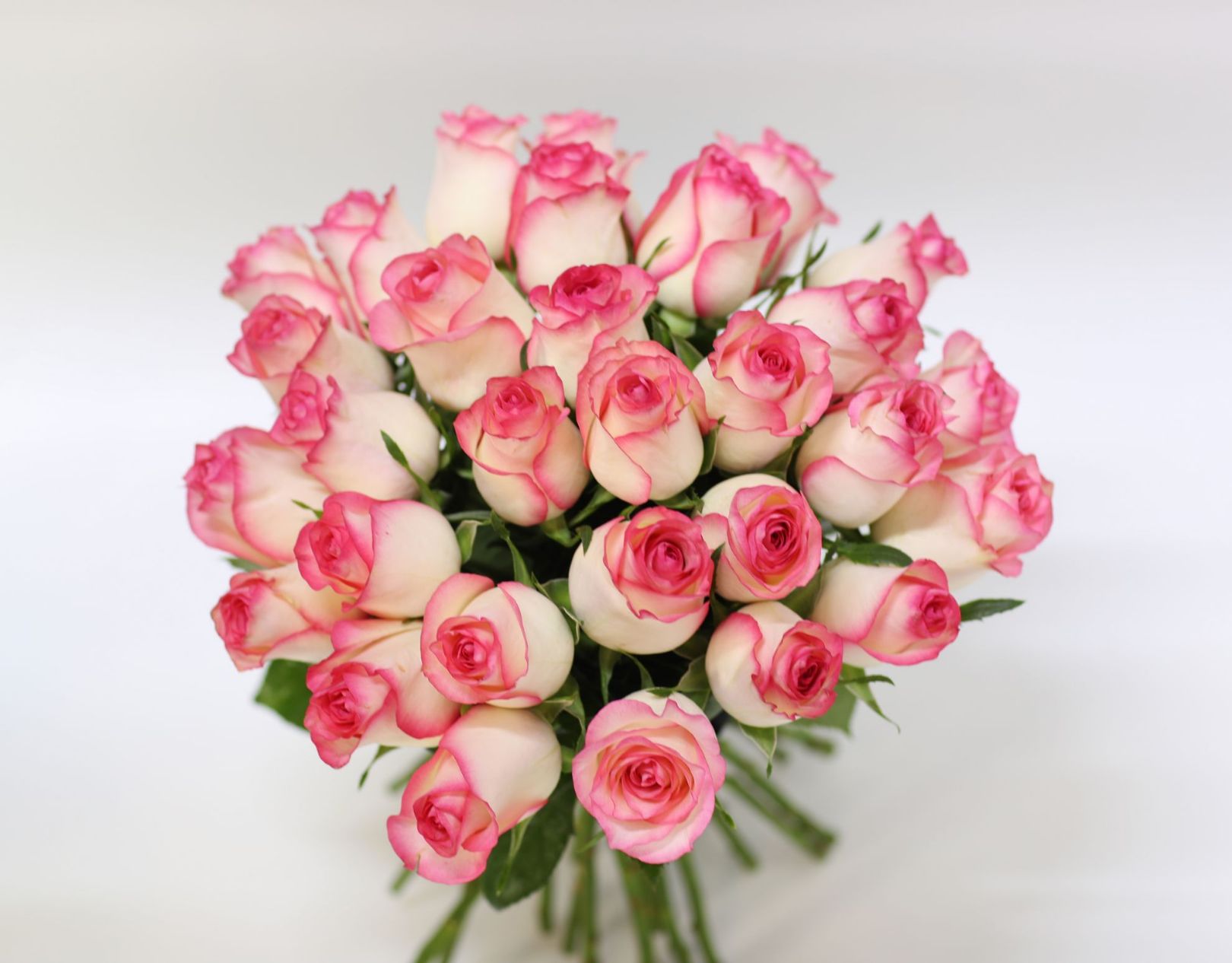 Picture of 30 Roses Bouquet