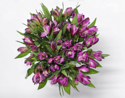 Picture of Alstroemeria Vase