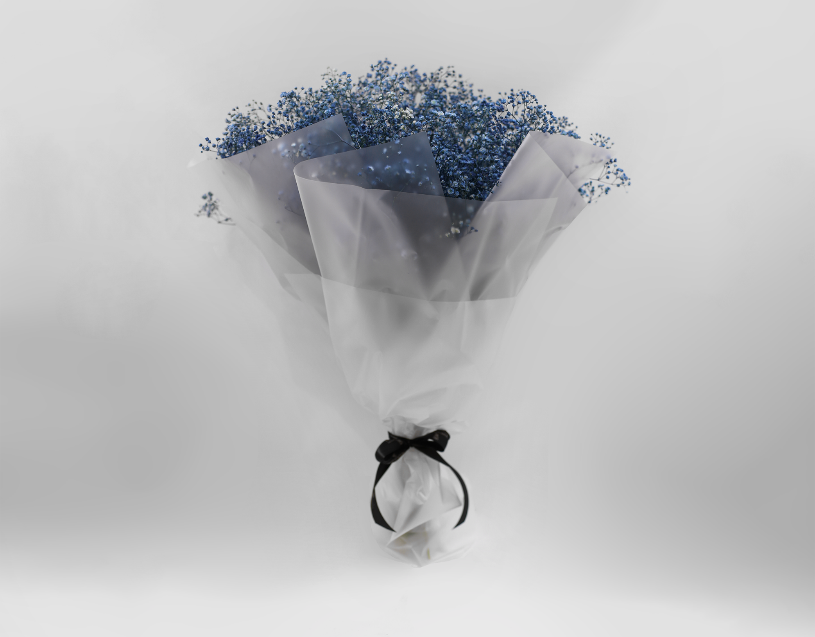 Picture of Blue Gypsophila 