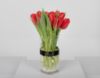 Picture of Red Tulip Vase 