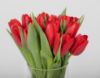 Picture of Red Tulip Vase 