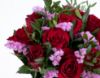 Picture of Red Roses 04