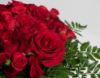 Picture of Red Roses 06