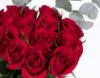 Picture of Love Roses 