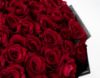 Picture of 100 Red Rose | Black wrapping