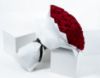 Picture of 100 Red Rose | White wrapping