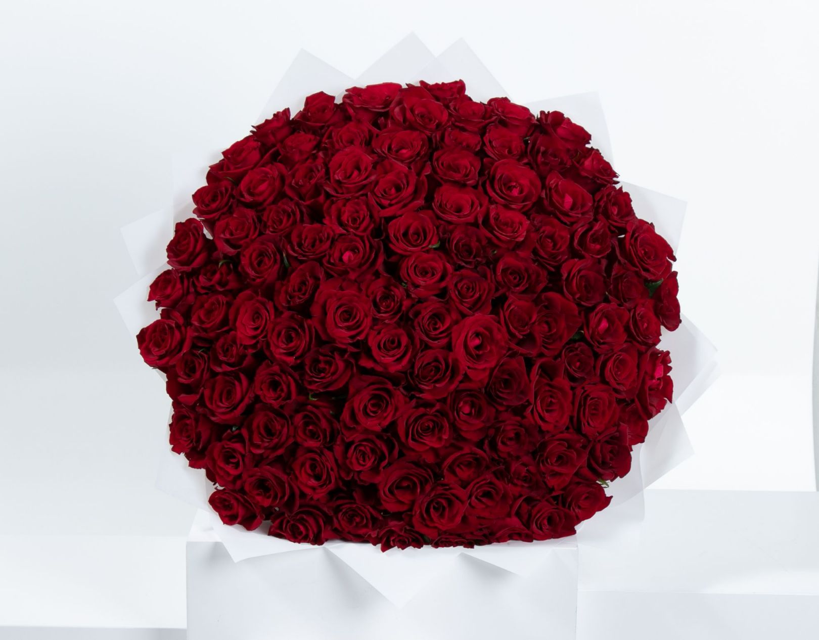 Picture of 100 Red Rose | White wrapping