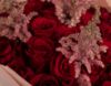 Picture of 30 Red Velvet Rose with Godiva Chocolate