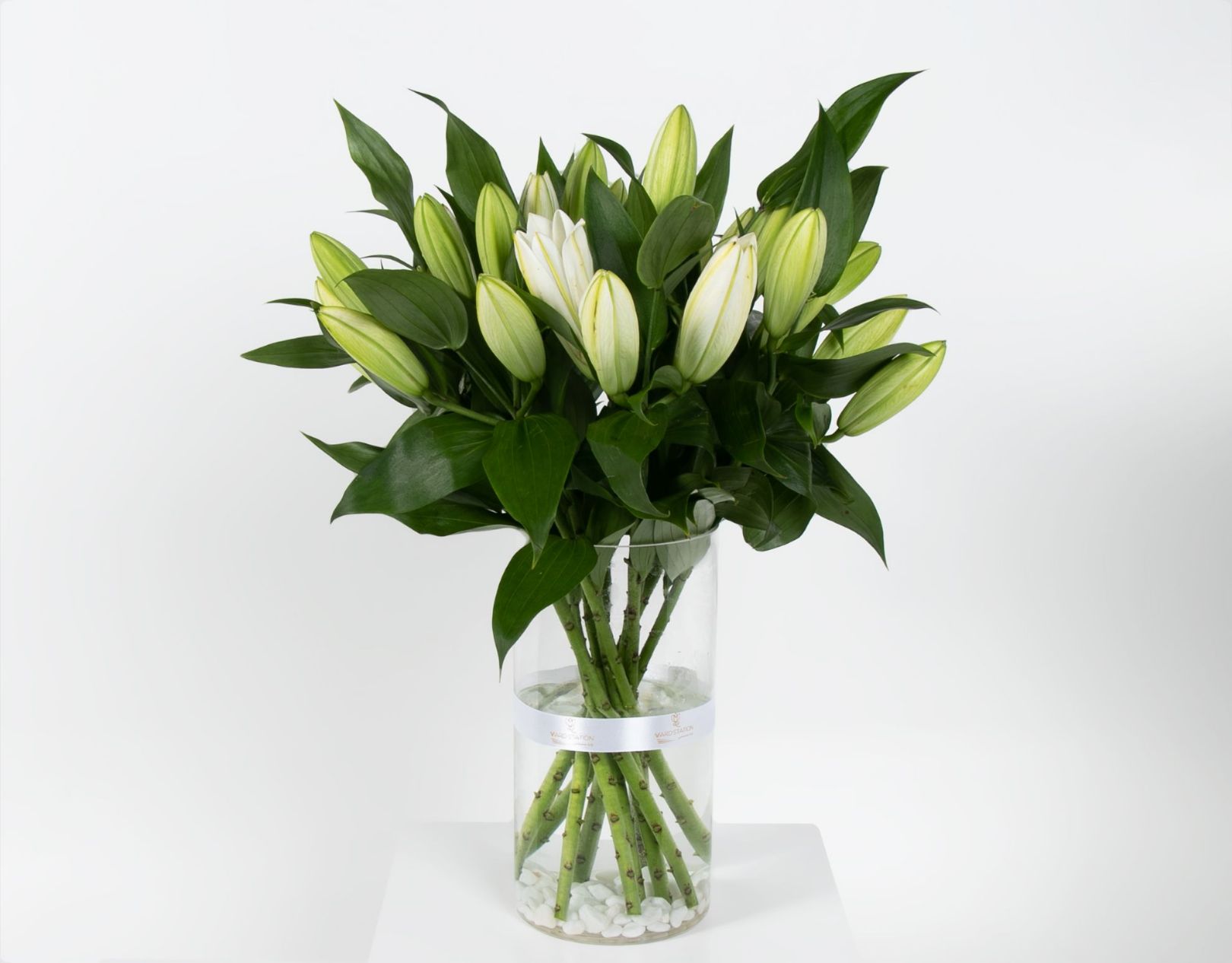 Picture of White Lilies Vase