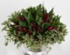 Picture of Alstroemeria Red vase