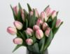 Picture of 20 Pink Tulips Vase