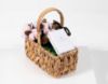 Picture of Pink Basket With Buckley London Bracelet 