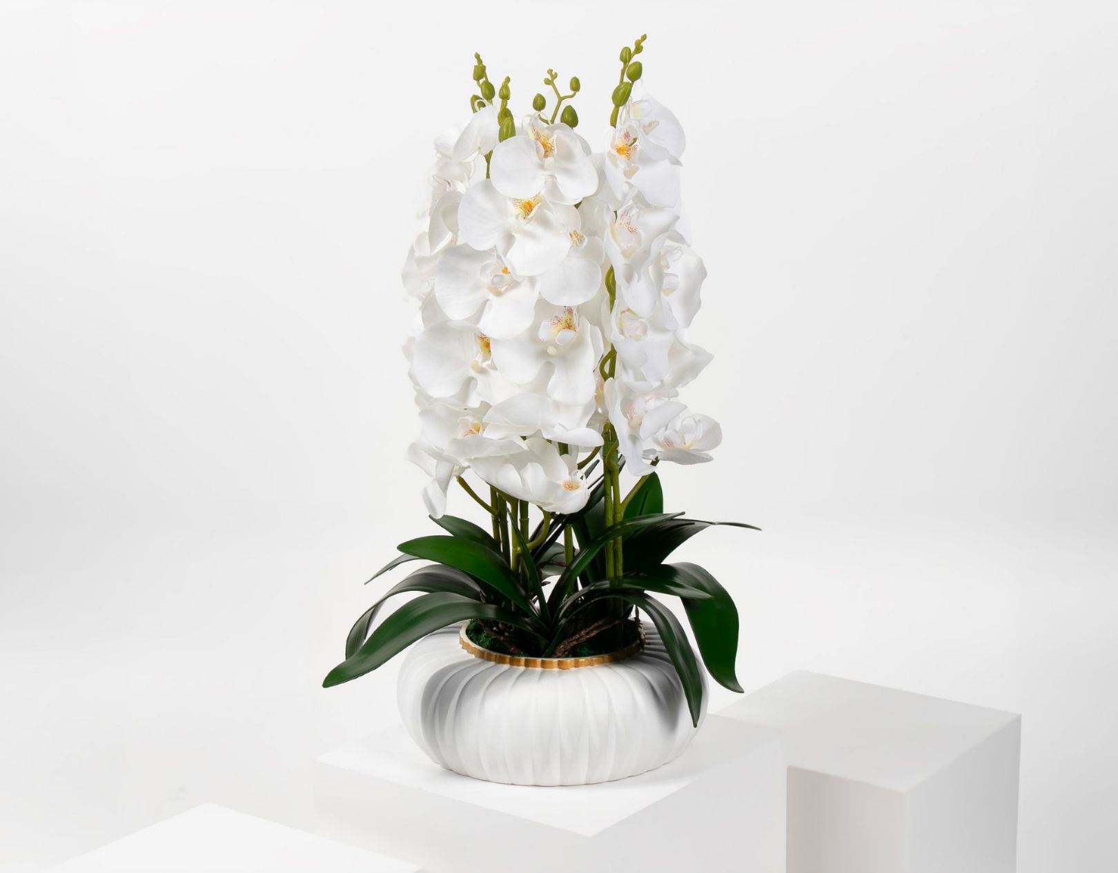 Picture of Artificial White Orchid Pot 02