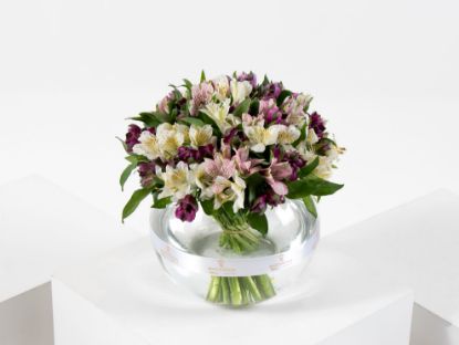 Picture of Alstroemeria Fusion vase