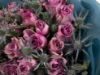 Picture of Bouquet | Versace Eros