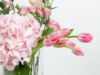 Picture of Pink Blush Harmony  | VASE