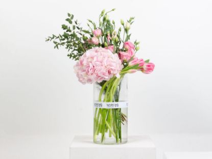 Picture of Pink Blush Harmony  | VASE