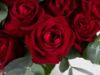 Picture of Romantic Red Roses | Vase